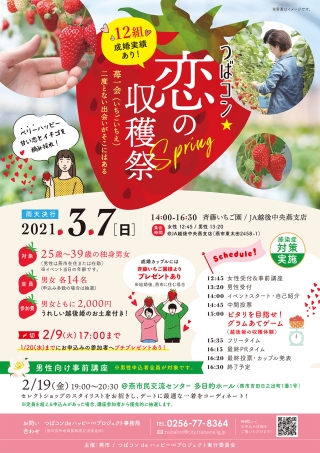 つばコンチラシ