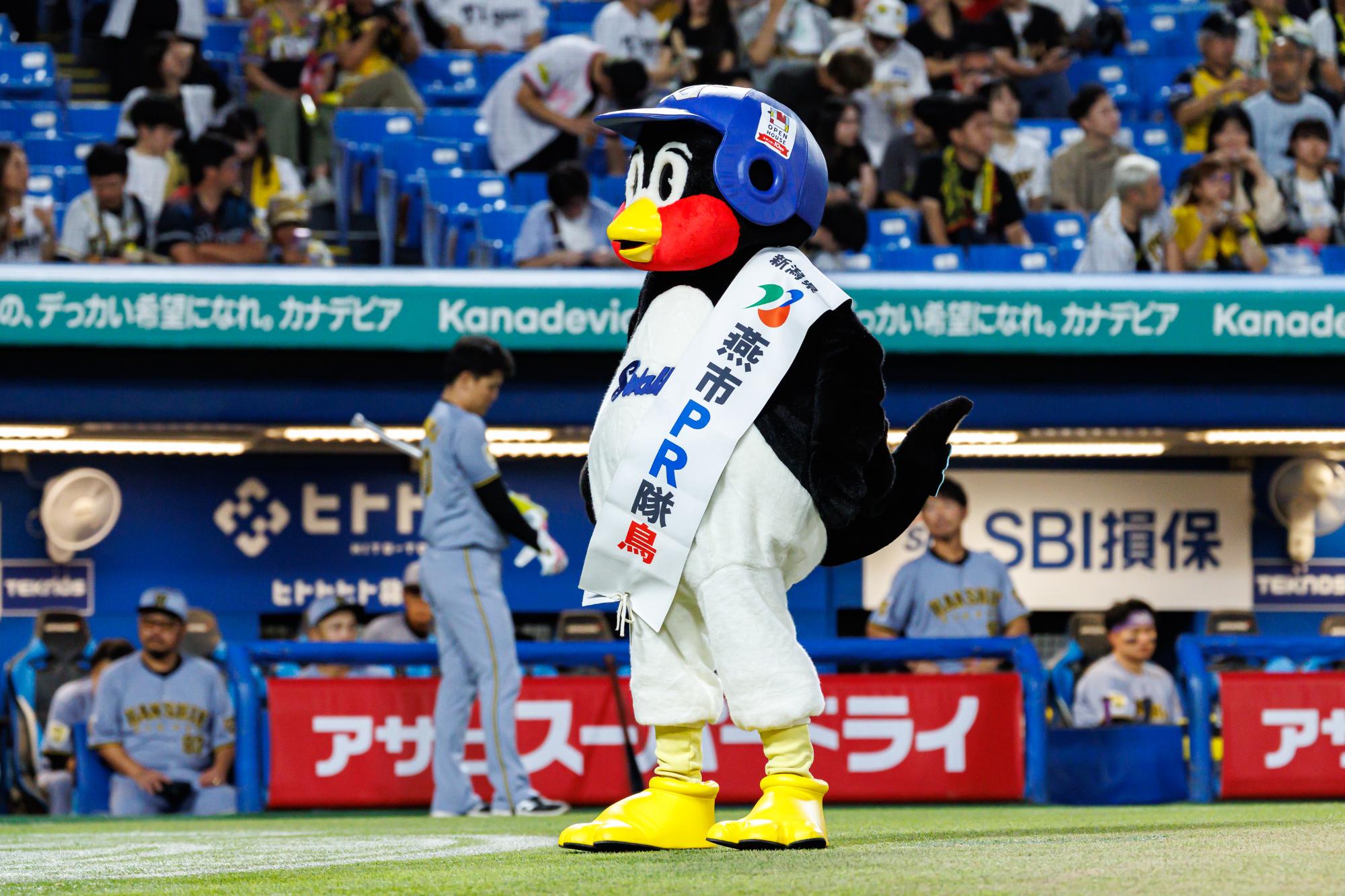 燕市PR隊鳥つば九郎