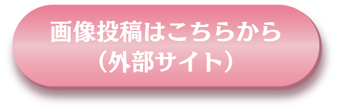 画像投稿はこちらから(外部サイト)