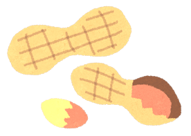 ピーナッツが2つあるイラスト