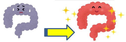 腸のイラスト