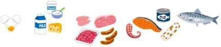 卵、乳製品、肉類、魚介類などの動物性たんぱく質の食材が並んでいるイラスト
