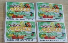 野菜の絵と「つばめの食育」の文字がデザインされたチラシ入りティッシュの表面の写真