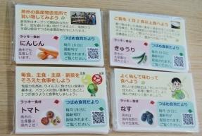 にんじんやトマトなどの野菜についての説明が載っているティッシュ裏面の写真