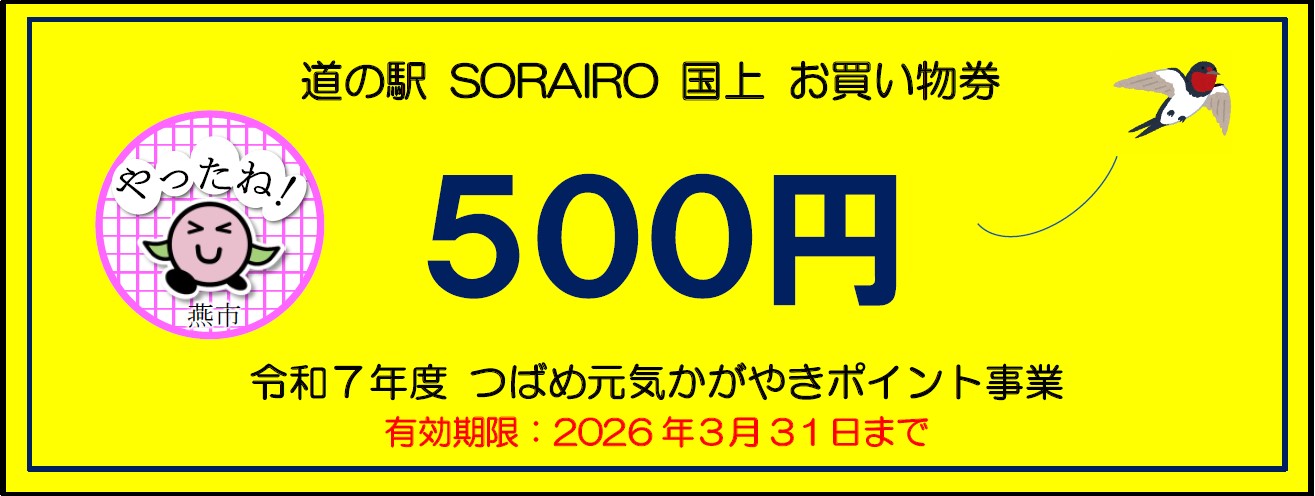 お買い物券(表)