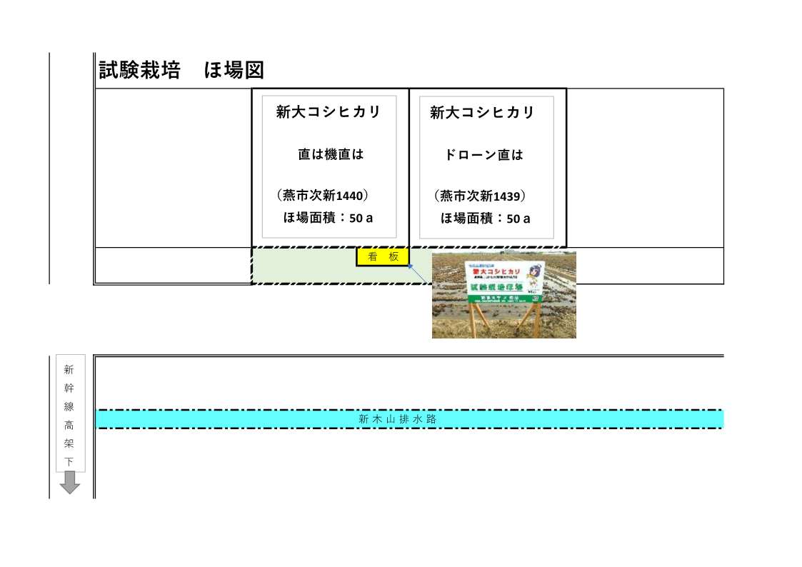 試験栽培ほ場の図