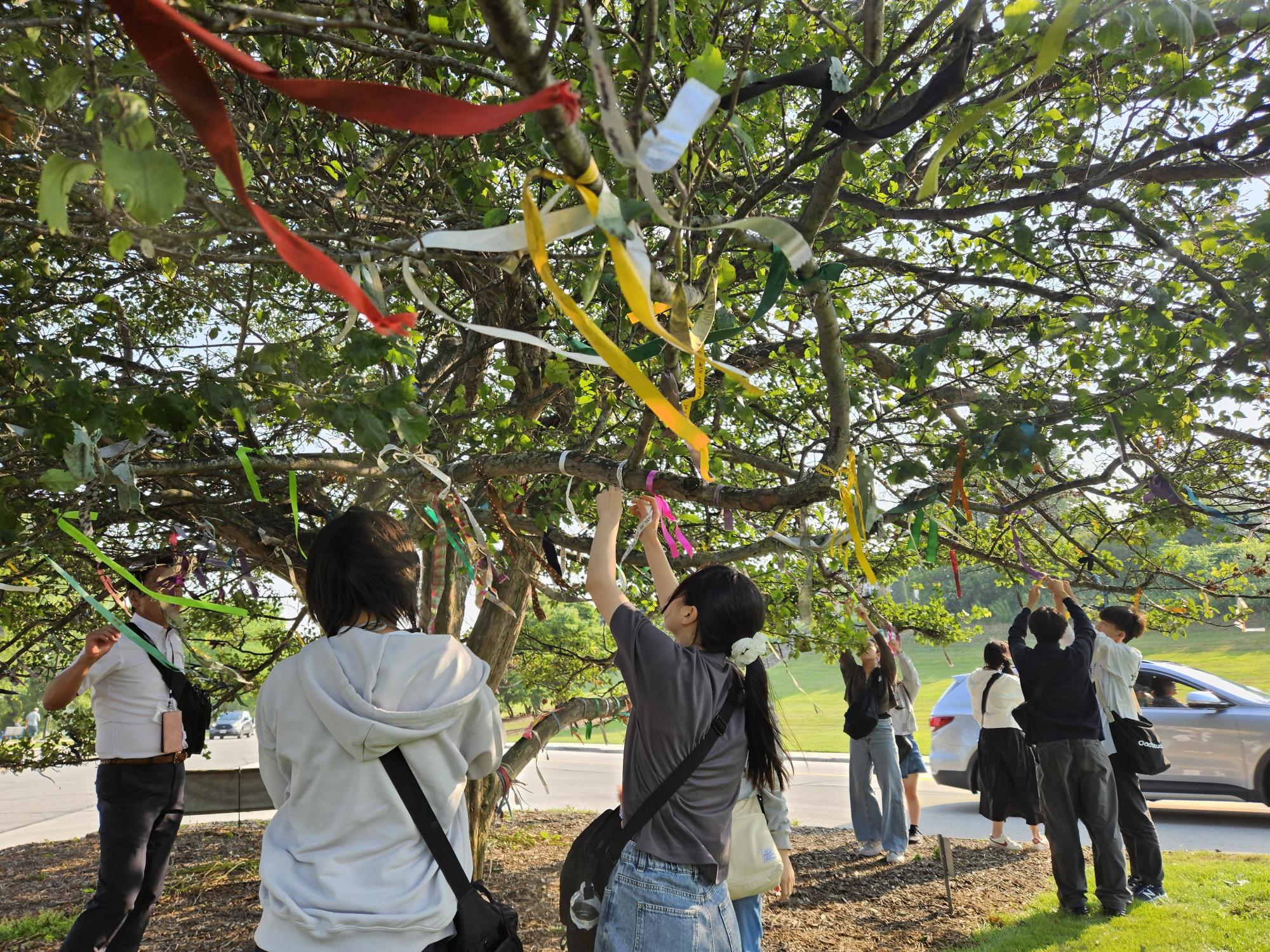 pisupaakukizunanoribon