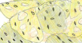 びっくり‼里いもとれんこんで大学いも