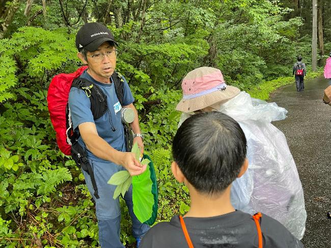 サバイバルキャンプで生き物探しをする塾生たち