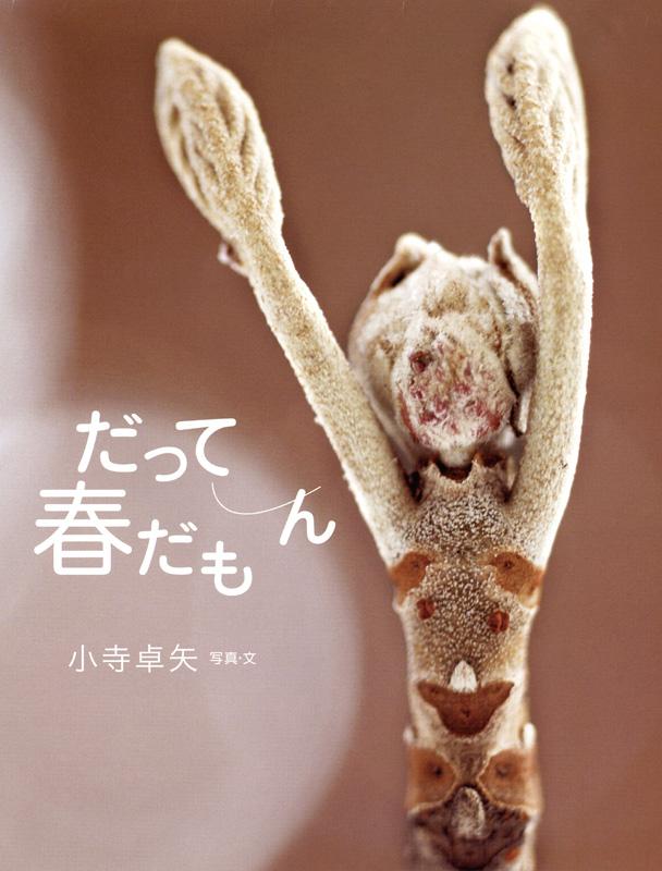 植物の芽をズームで撮影した写真絵本「だって春だもん」の表紙