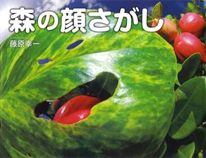 穴の開いた大きい葉っぱの写真が映された「森の顔さがし」の表紙