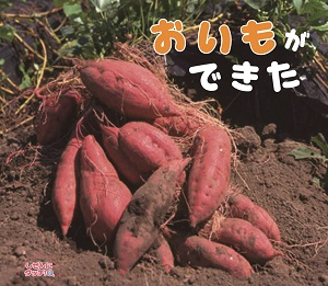 「おいもができた」と掘り出されて山積みになったさつまいもの写真