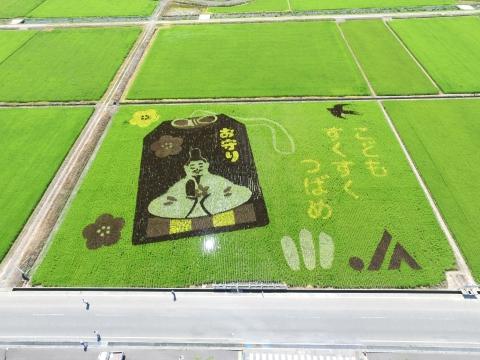 「こどもすくすくつばめ」の文字とお守りのイラストがデザインされた田んぼアートの写真