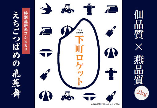 白地に紺色のロゴマークが描かれた飛燕舞のポスター