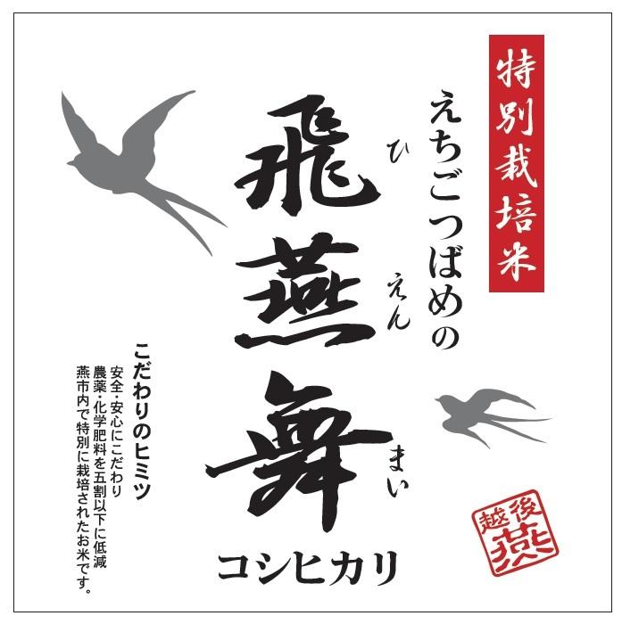 白い背景に燕のシルエットが描かれた飛燕舞のポスター