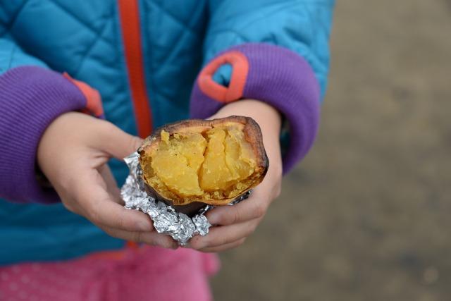 焼き上がった焼き芋の断面を手に持って見せている写真