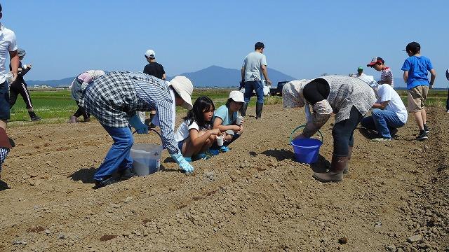 休耕田に種を植えている女の子と参加者の皆さんの写真