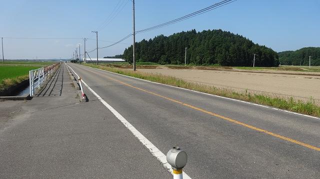 青空の下一面に広がっている水田の写真