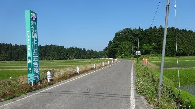 道路の両側に広がる水田と正面に生えている木々の写真その2