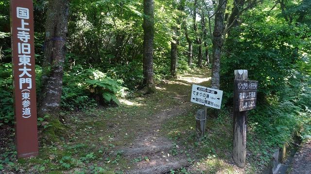 森の中にある国上寺旧東大門(東参道)と書かれた看板と森の中の獣道の写真