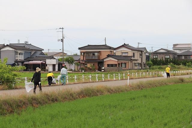 田園風景の中あぜ道のゴミを拾っている黄色チームの様子の写真