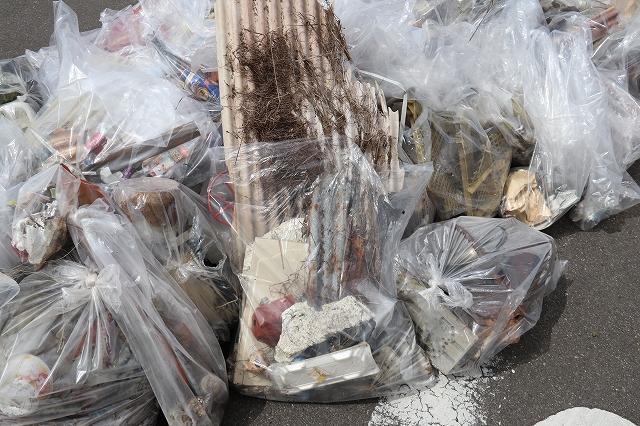 参加者たちによって拾い集められたゴミの写真
