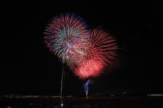 夜空に、綺麗な赤色の花火が打ちあがっている写真