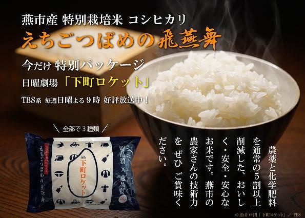 飛燕舞「下町ロケットパッケージ」のチラシ
