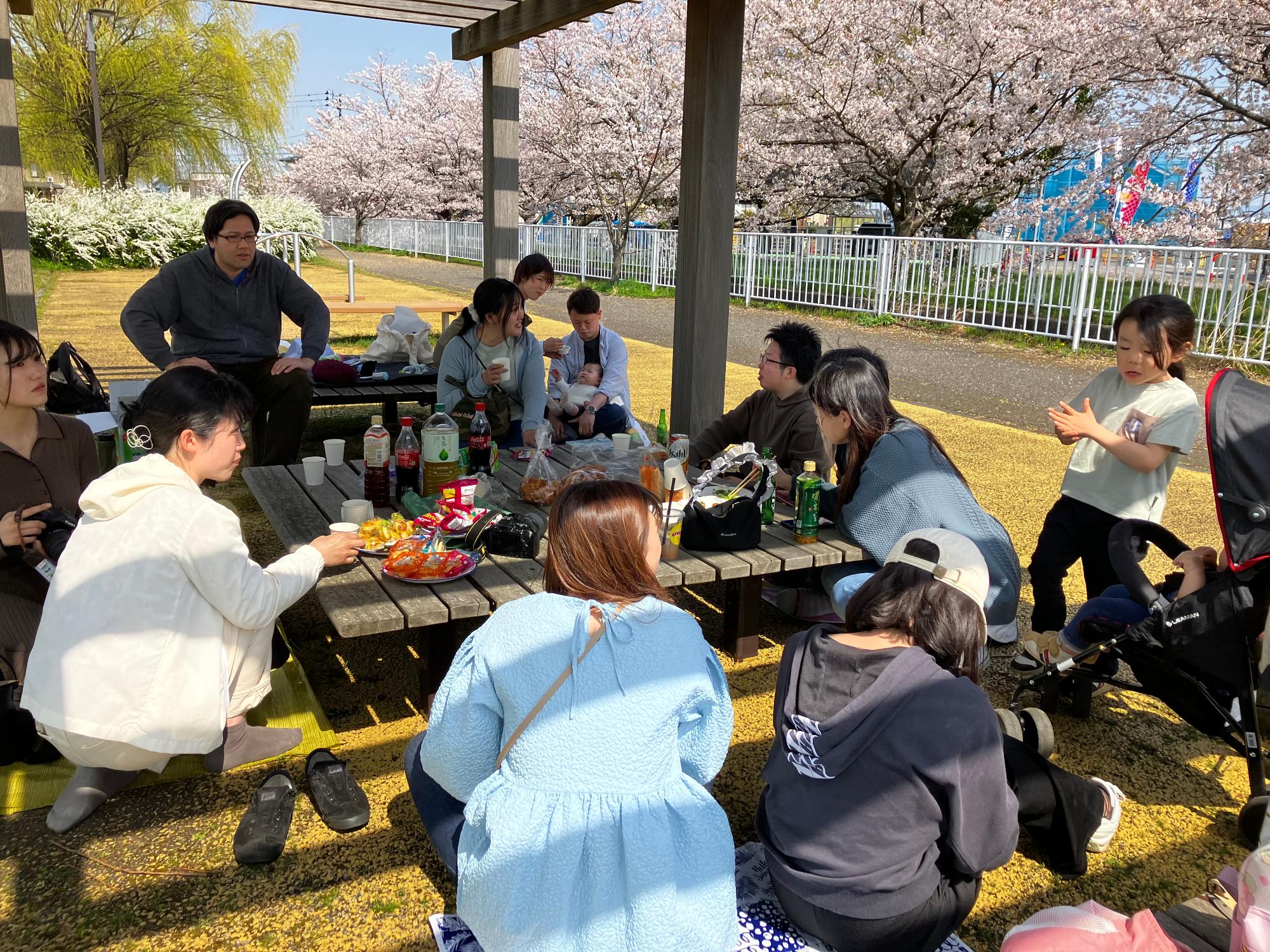 さくらの下でお花見交流中