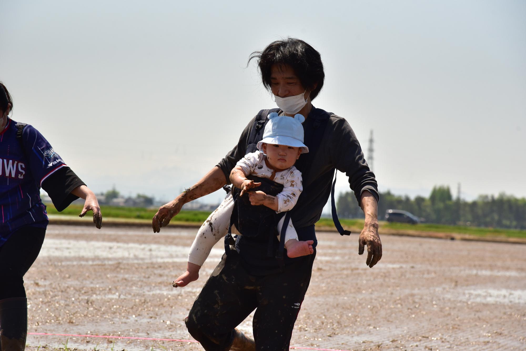 田植えの様子