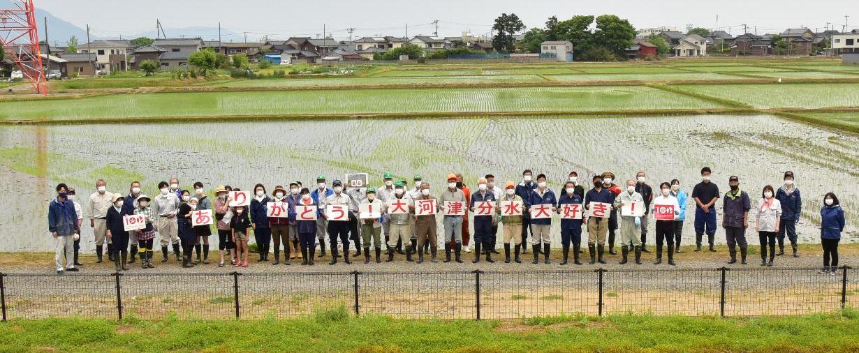 田植えの様子