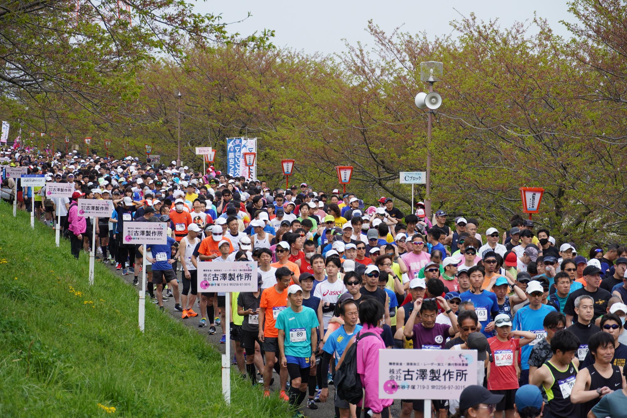 レース中の様子