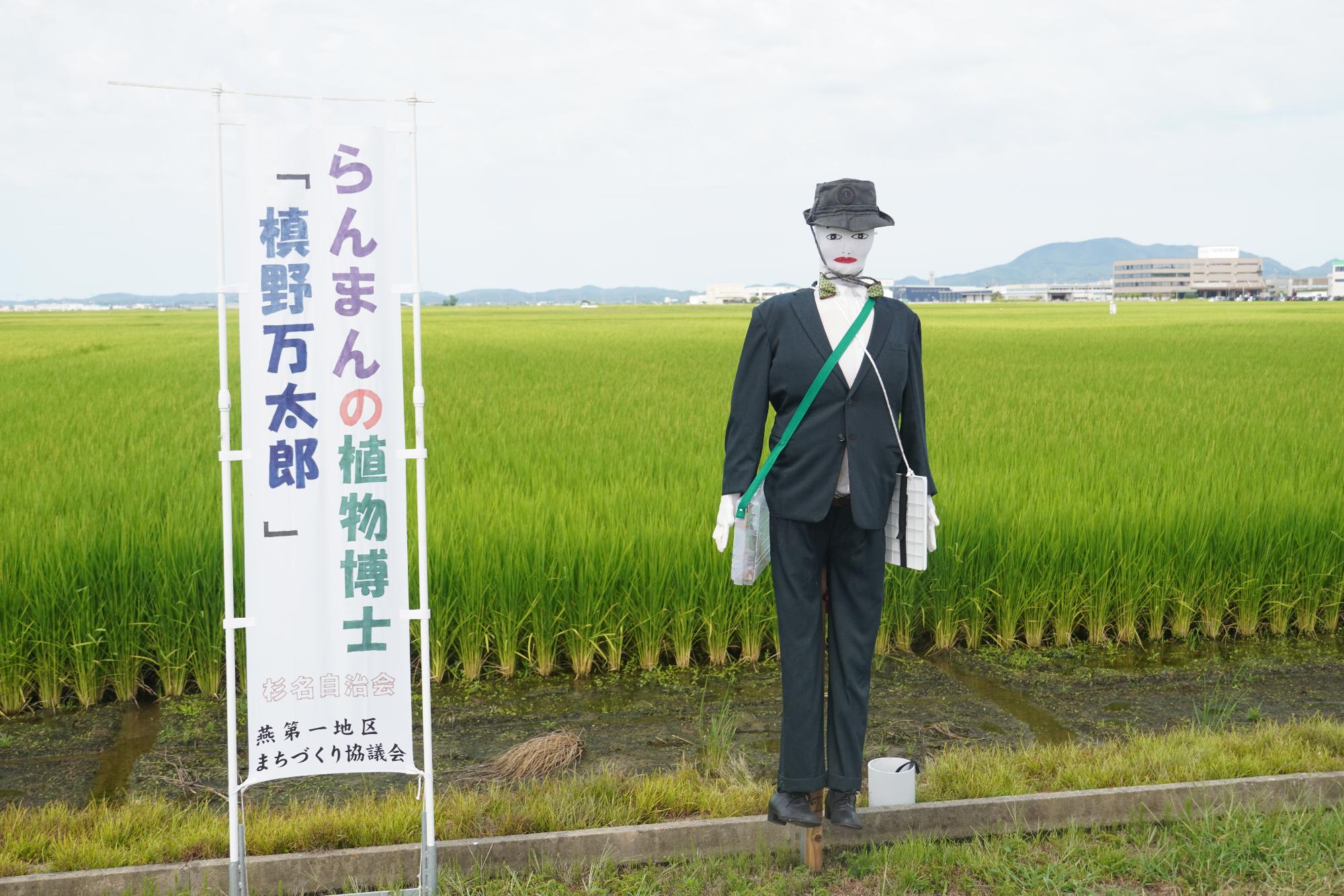 農道に並ぶ案山子