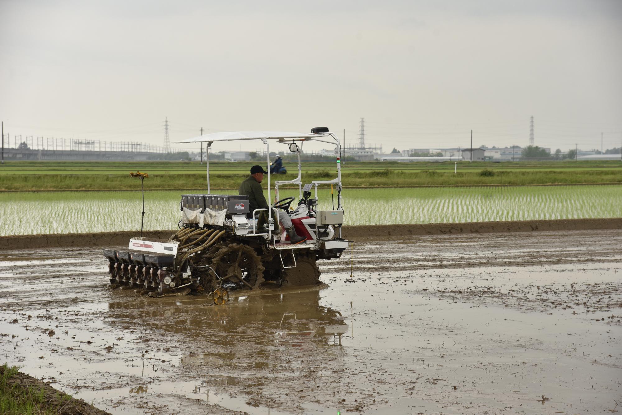 直は機