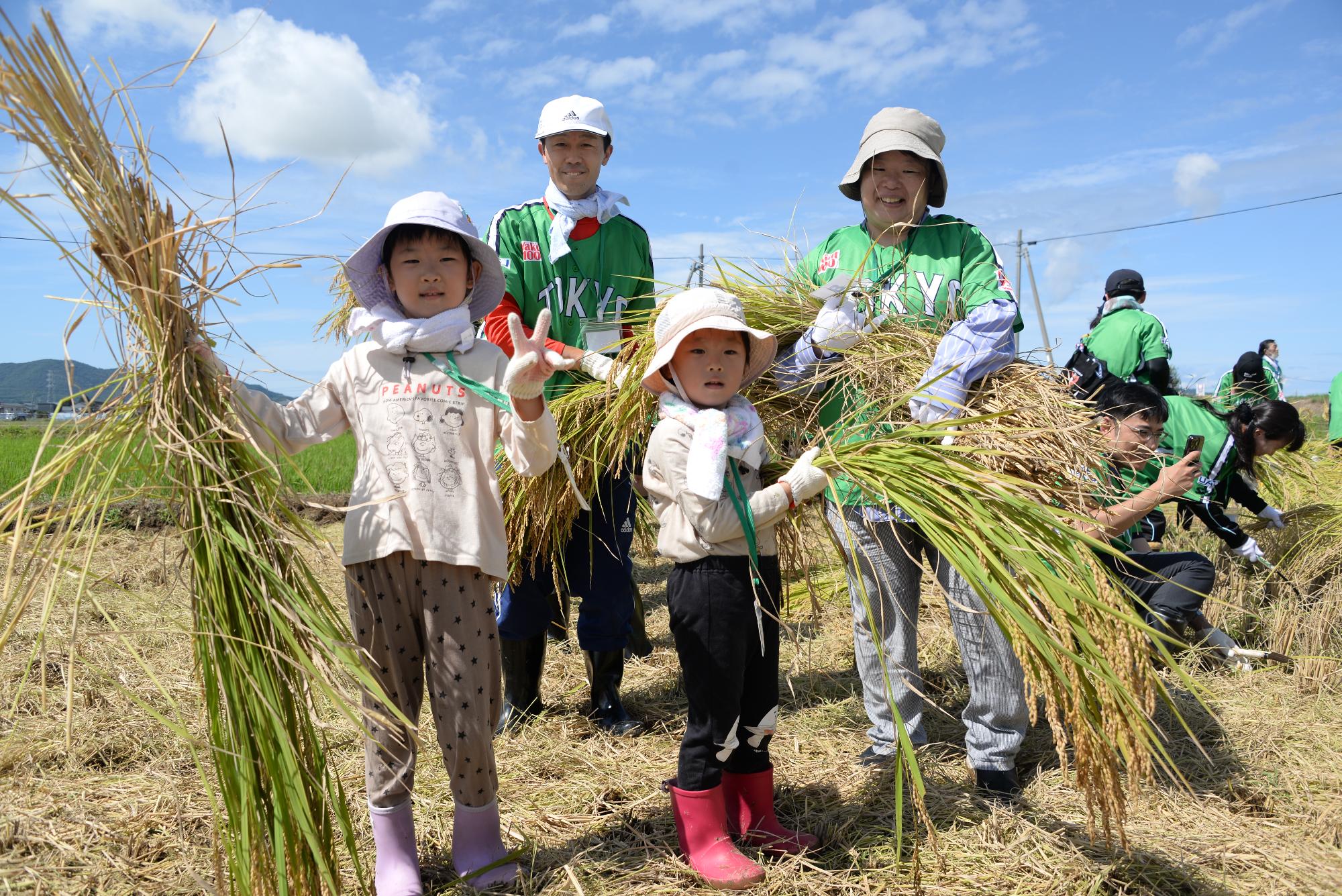 刈った稲を運ぶ親子