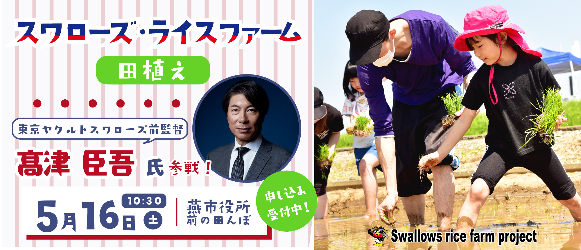 スワローズ・ライスファームのバナー