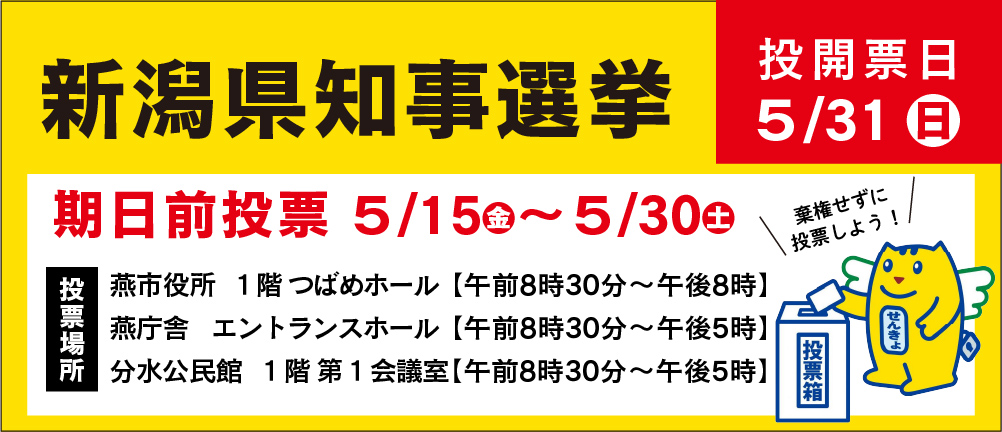 新潟県知事選挙期日前投票のバナー