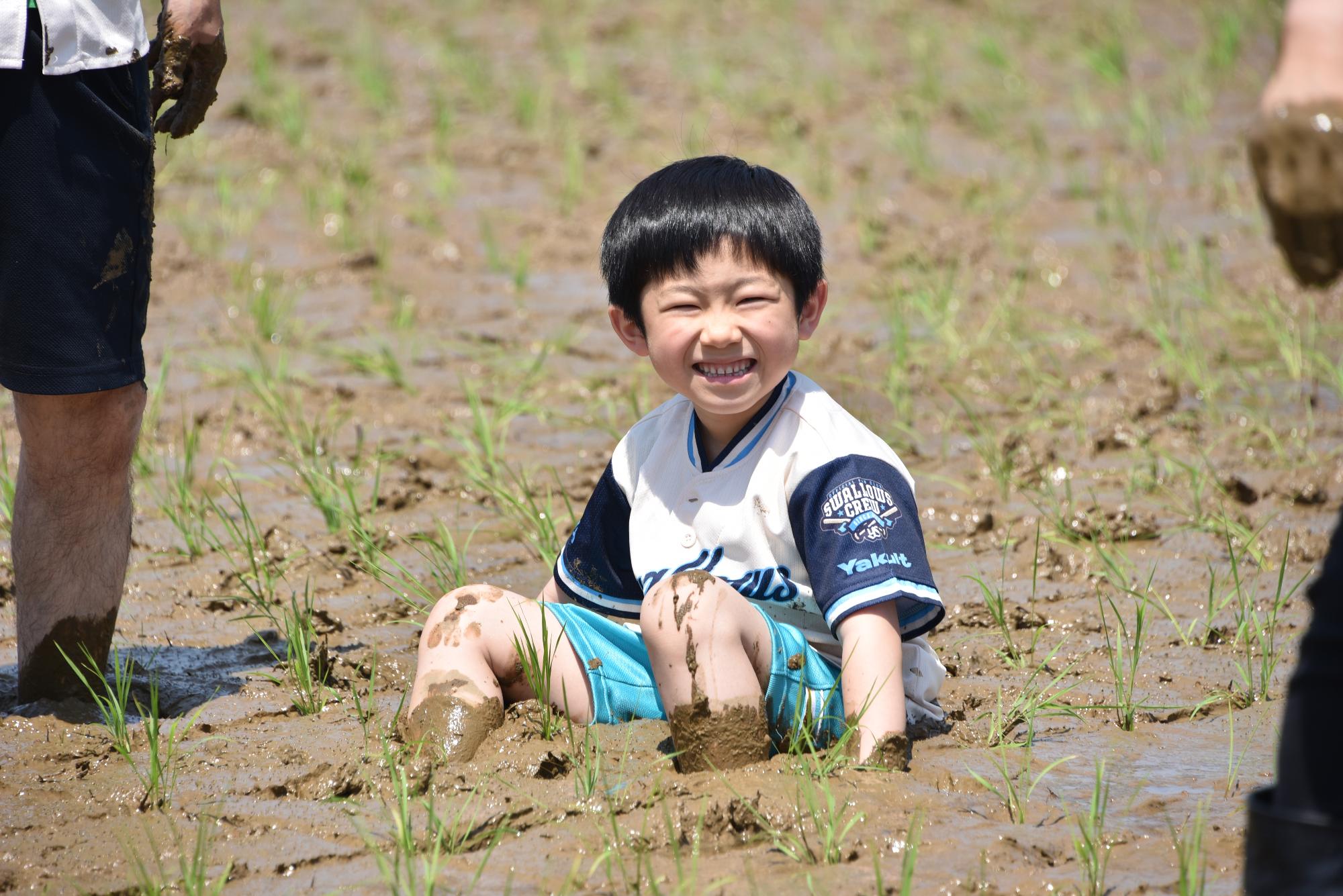 田植えの際に尻もちをついた様子