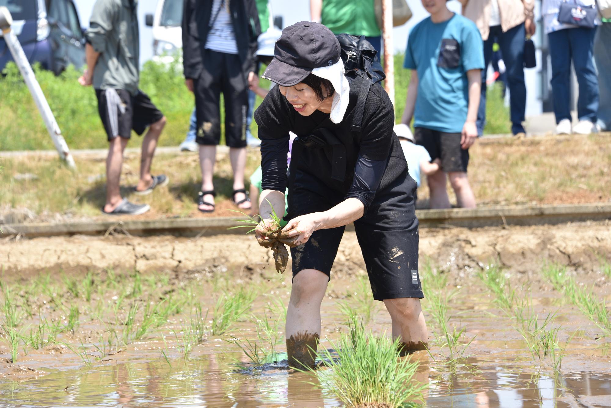 笑顔で田植えをする様子