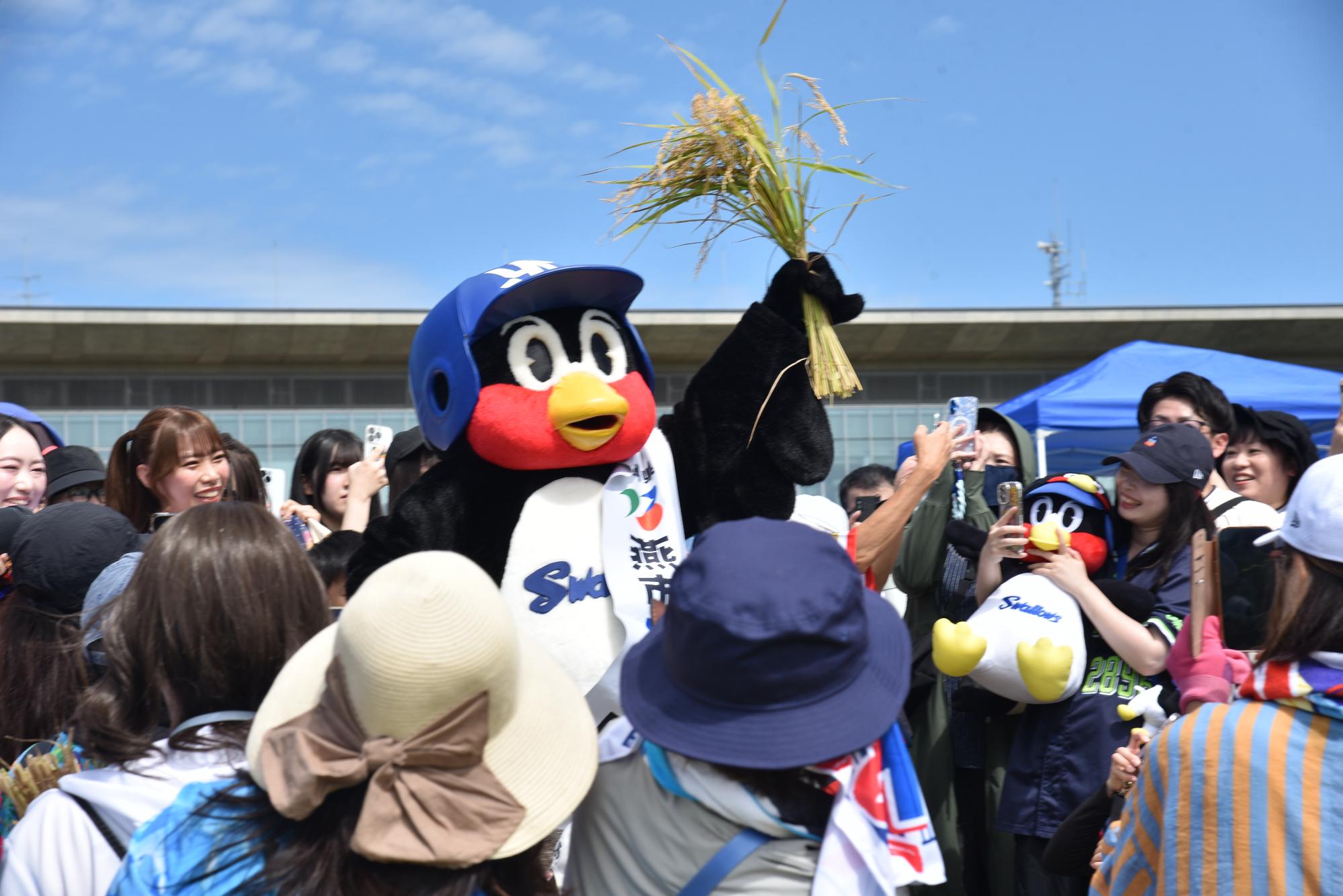 スワローズ