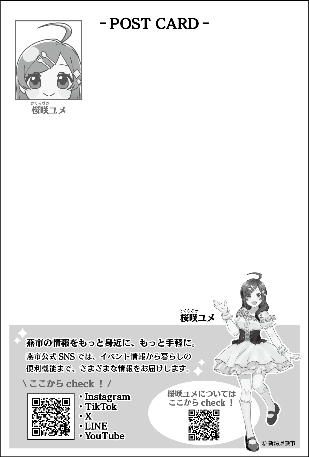 ポストカードの裏面