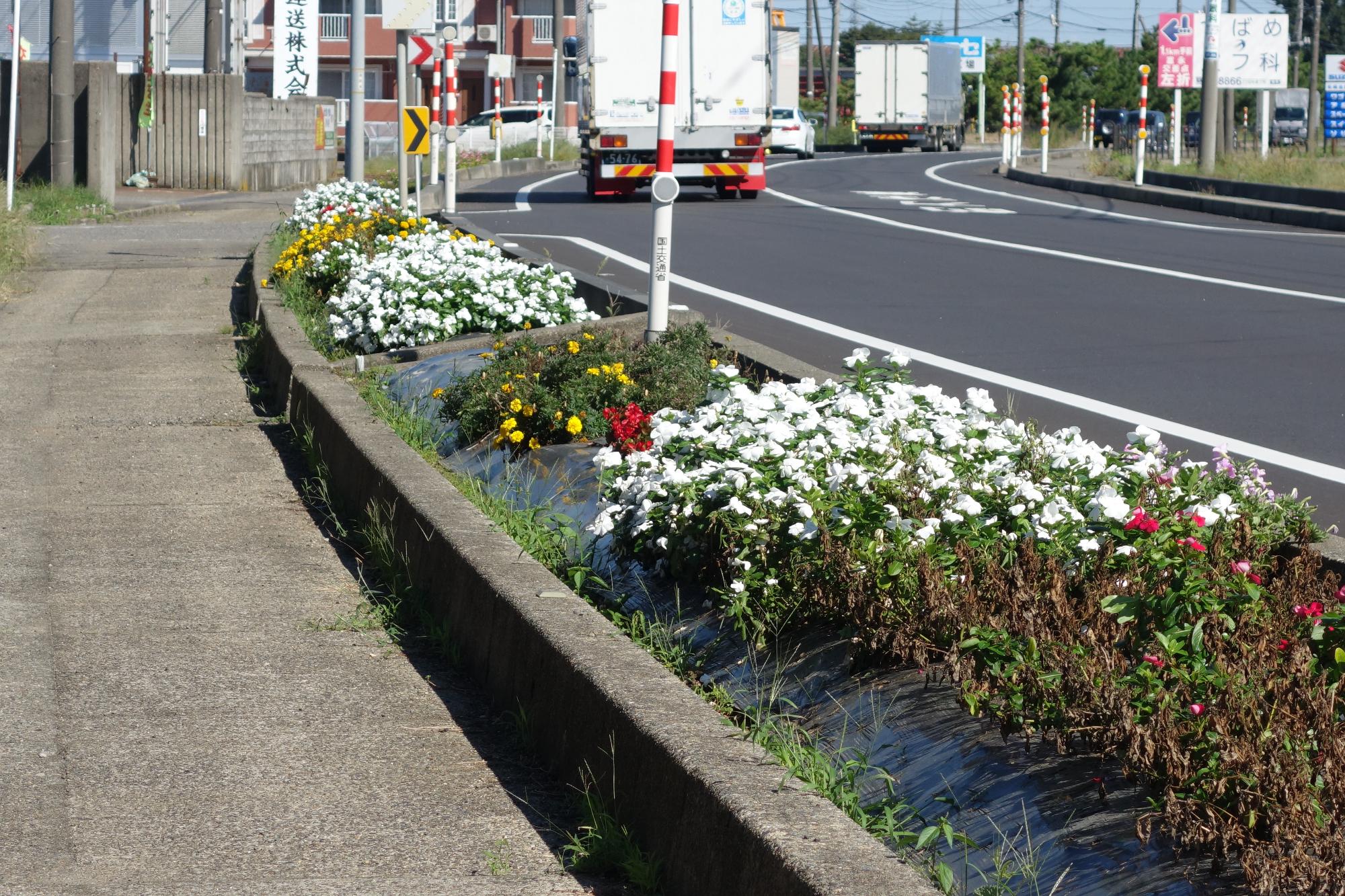 整備された花壇