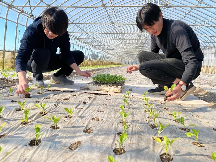 苗植えをする学生の様子