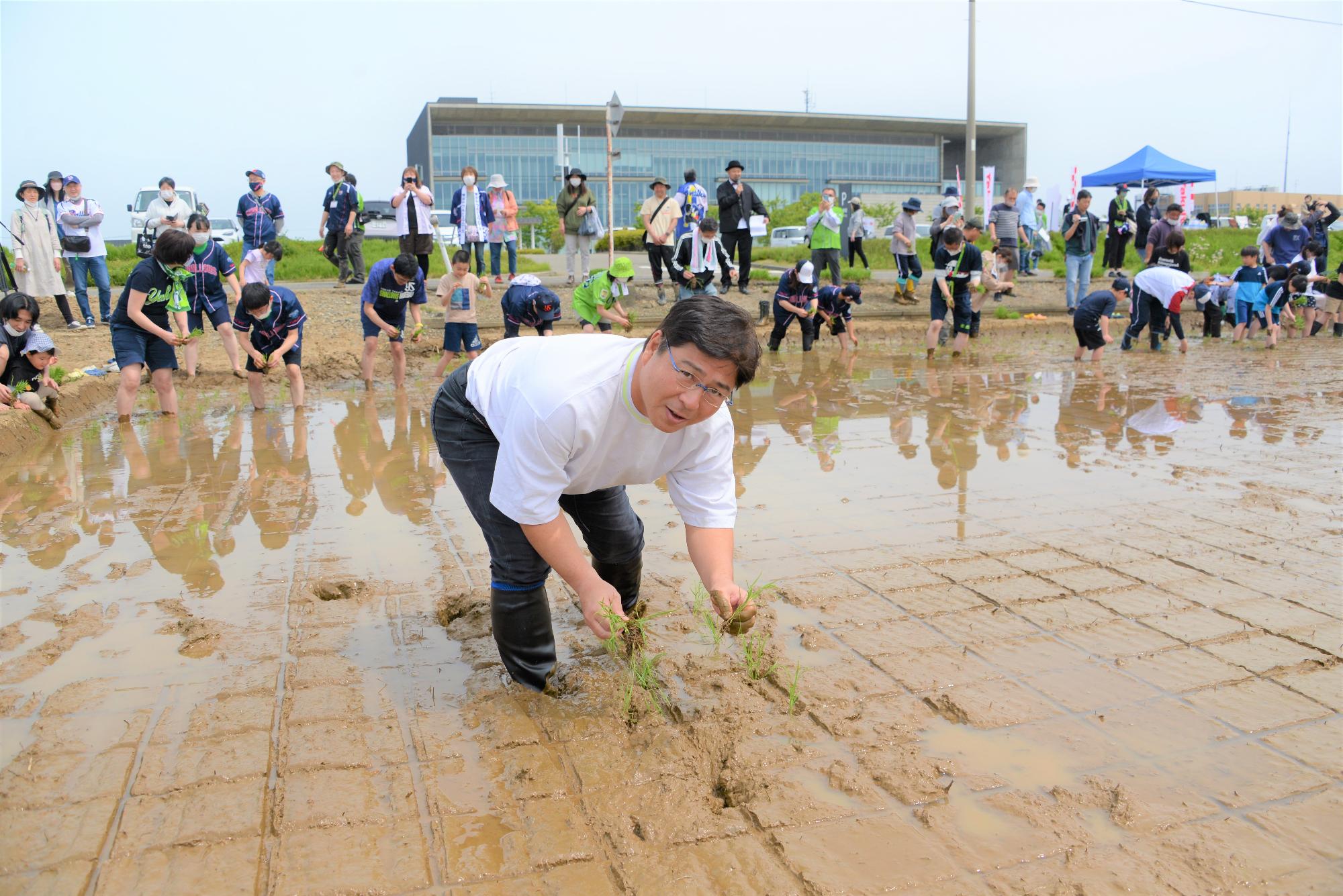 田植えをする真中さん