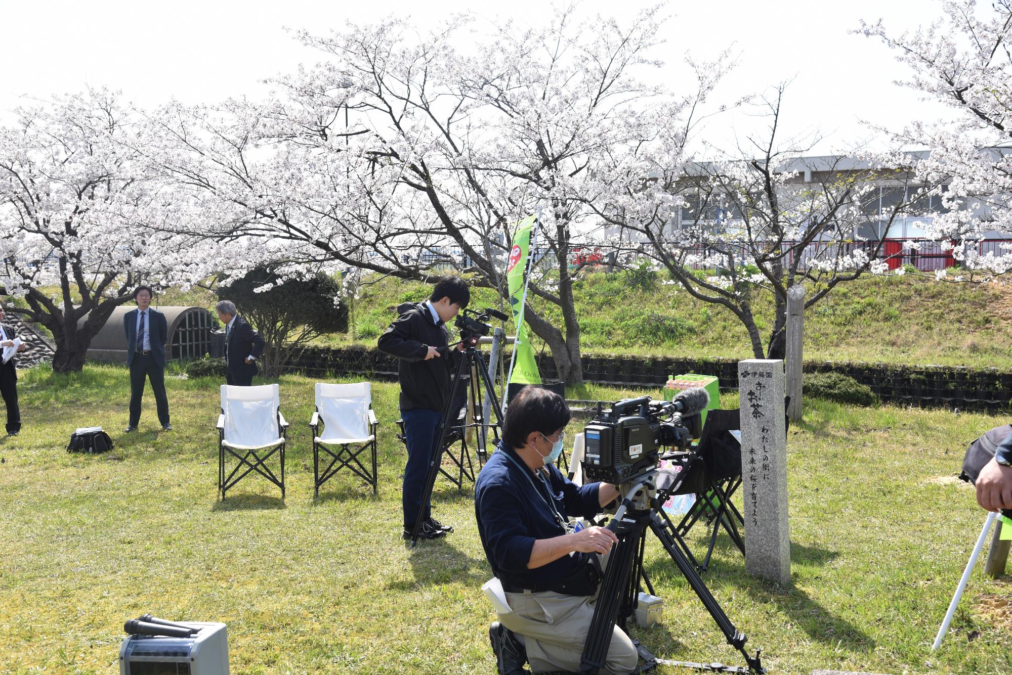 桜植樹をテレビ局が取材している様子