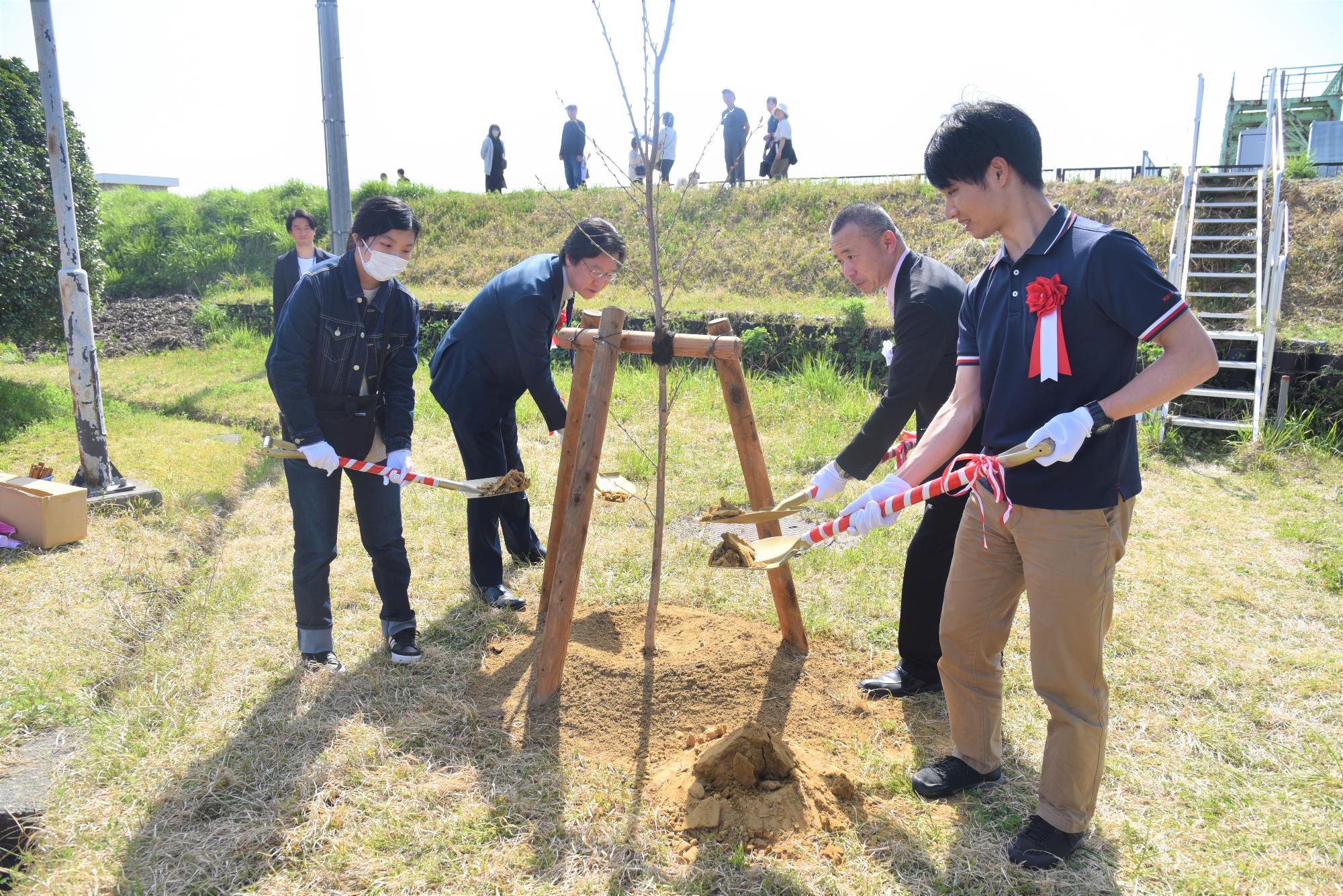 4人で桜の植樹を行っている様子