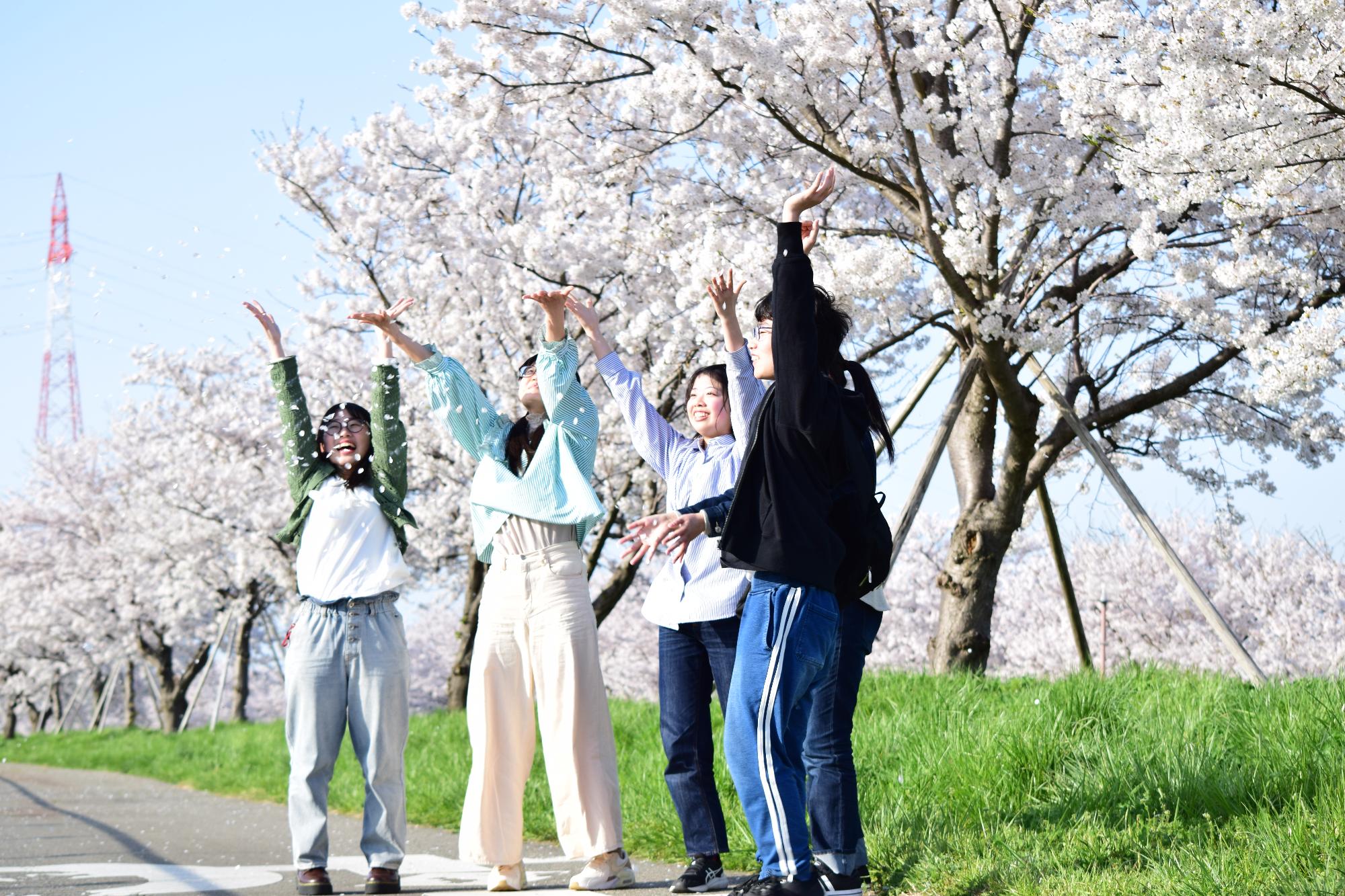 桜の花びらと5人の高校生
