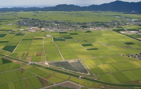 田んぼを上空から撮影した写真