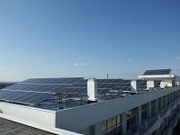 屋上にたくさん設営された太陽電池モジュールの写真