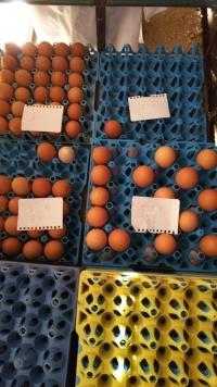 箱の上に選別された赤卵が並び四角いタグが置いてある写真
